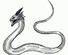 serpent.jpg